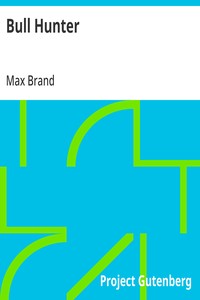 Cover of Bull Hunter