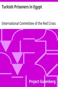 Cover of Turkish Prisoners in Egypt A Report by the Delegates of the International Committee of the Red Cross