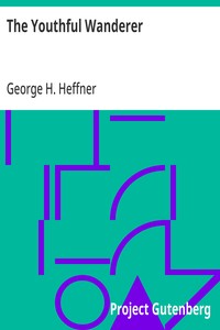 Cover of The Youthful Wanderer An Account of a Tour through England, France, Belgium, Holland, Germany and the Rhine, Switzerland, Italy, and Egypt, Adapted to the Wants of Young Americans Taking Their First Glimpses at the Old World