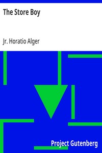 Cover of The Store Boy