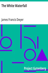 Cover of The White Waterfall