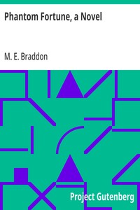 Cover of Phantom Fortune, a Novel