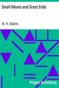 Cover of Small Means and Great Ends