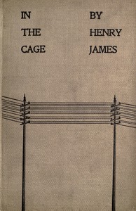 Cover of In the Cage