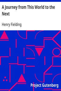 Cover of A Journey from This World to the Next