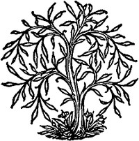 Cover of Poetry