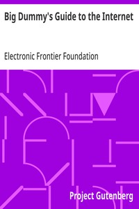 Cover of Big Dummy's Guide to the Internet