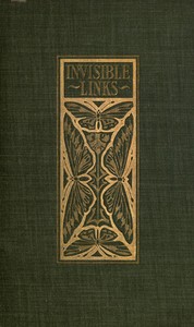 Cover of Invisible Links