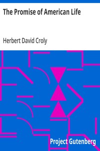 Cover of The Promise of American Life