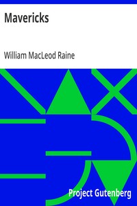 Cover of Mavericks