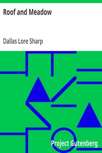 Cover of Roof and Meadow