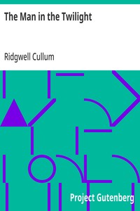 Cover of The Man in the Twilight