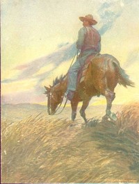 Cover of Winston of the Prairie
