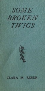 Cover of Some Broken Twigs