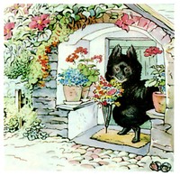 Cover of The Tale of the Pie and the Patty Pan