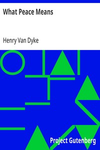 Cover of What Peace Means