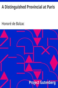 Cover of A Distinguished Provincial at Paris