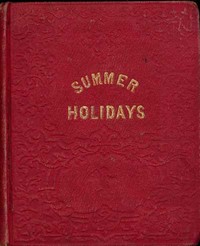 Cover of The summer holidays : $b a story for children