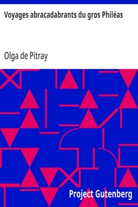 Cover of Voyages abracadabrants du gros Philéas