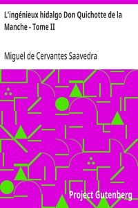 Cover of L'ingénieux hidalgo Don Quichotte de la Manche - Tome II