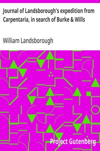 Cover of Journal of Landsborough's expedition from Carpentaria, in search of Burke & Wills