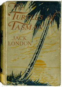 Cover of The Turtles of Tasman