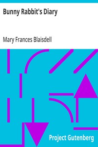 Cover of Bunny Rabbit's Diary