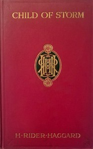 Cover of Child of Storm