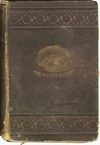 Cover of The Burglar's Fate, and The Detectives