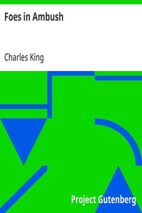 Cover of Foes in Ambush