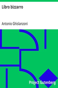 Cover of Libro bizzarro