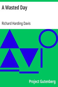 Cover of A Wasted Day