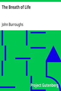 Cover of The Breath of Life