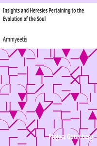 Cover of Insights and Heresies Pertaining to the Evolution of the Soul