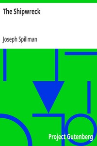 Cover of The Shipwreck A Story for the Young