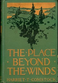 Cover of The Place Beyond the Winds