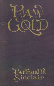 Cover of Raw gold : $b a novel