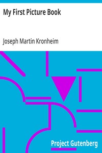 Cover of My First Picture Book With Thirty-six Pages of Pictures Printed in Colours by Kronheim