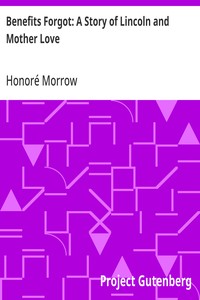 Cover of Benefits Forgot: A Story of Lincoln and Mother Love