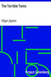 Cover of The Terrible Twins