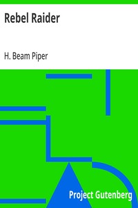 Cover of Rebel Raider