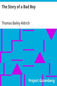 Cover of The Story of a Bad Boy
