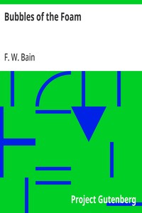 Cover of Bubbles of the Foam