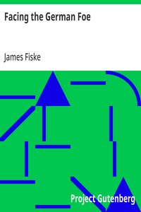 Cover of Facing the German Foe