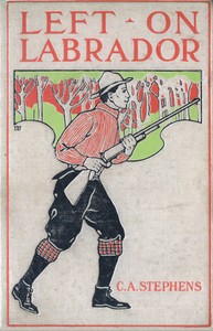 Cover of Left on Labrador; or, The cruise of the Schooner-yacht "Curlew" As Recorded by "Wash"