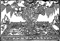 Cover of Le catalogue des livres censurez par la faculté de theologie de Paris