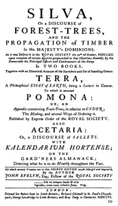 Cover of Sylva; Or, A Discourse of Forest Trees. Vol. 1 (of 2)