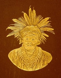 Cover of Eighth Annual Report of the Bureau of Ethnology to the Secretary of the Smithsonian Institution, 1886-1887, Government Printing Office, Washington, 1891