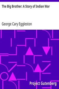 Cover of The Big Brother: A Story of Indian War