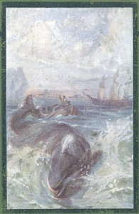 Cover of Fighting the Whales